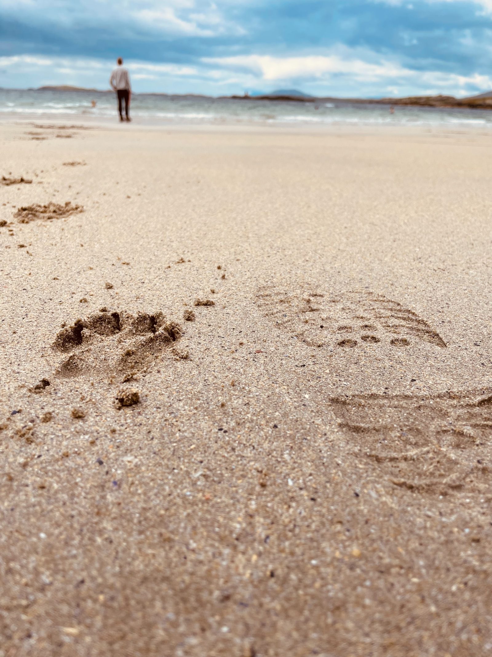 A dog paw print beside a human footprint in the sand