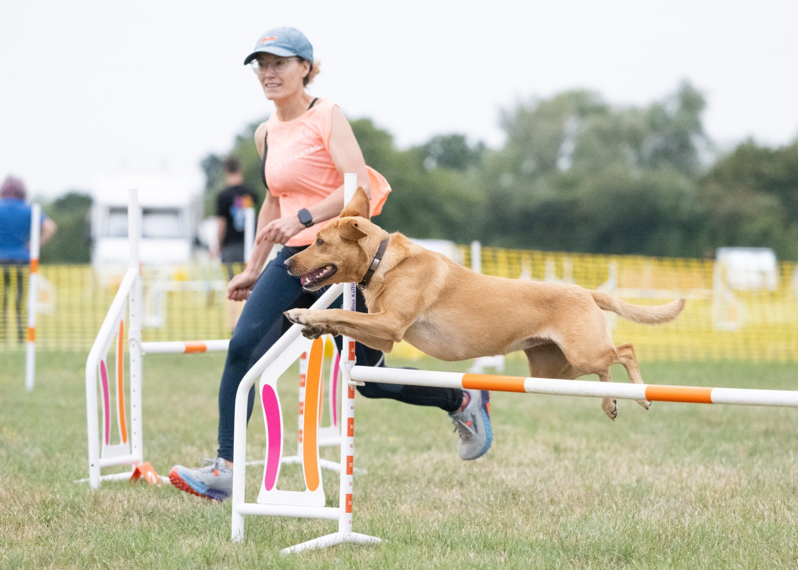 Cristina running an agility course with her Labrador Maya, clearing a jump
