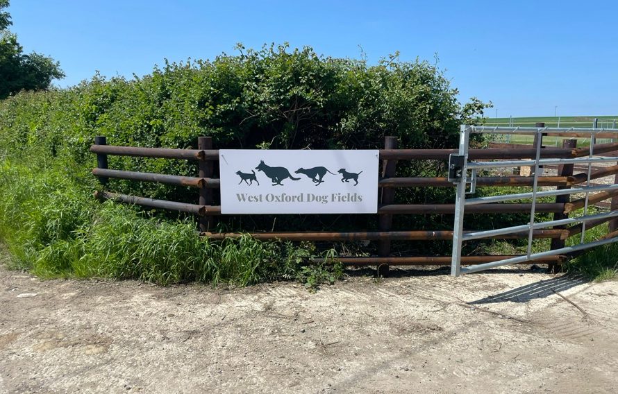Entrance gate to the secure field at West Oxford Dog Fields, used for outdoor dog training